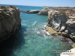 Pineta_del_Gelsomineto - 22-02-2015 11-56-35.jpg